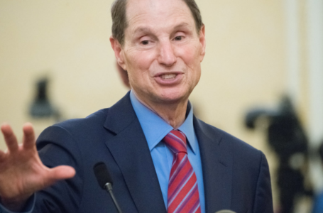 U.S. Senators Seek to Amend New Crypto Tax Rules