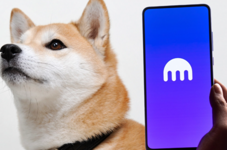 Dogecoin Killer Shiba Inu Listed by Kraken