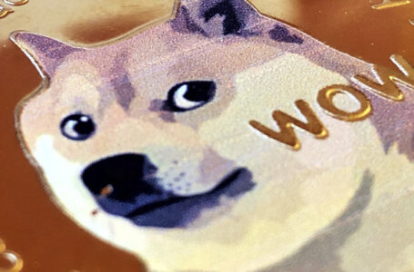 Elon Musk Says New Dogecoin Upgrade Is “Important”