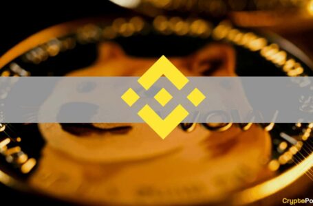 Binance Reportedly Requested Users to Return Dogecoin Received After Latest Update