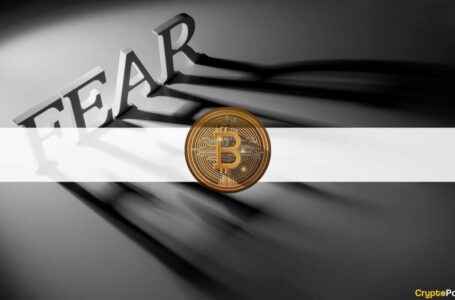 For The First Time in Two Months: Bitcoin’s Fear & Grid Index Shows Fear