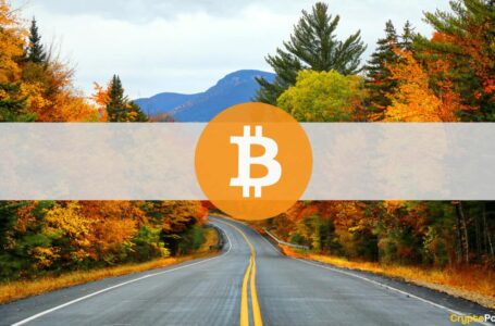 Bulls Eye November: Historically The Best Month for Bitcoin Price