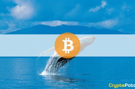Bitcoin Accumulation Accelerates as Whales Buy 0.29% of BTC’s Total Supply in a Week: Analysis