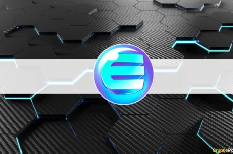 Enjin Gears to Tap Metaverse Realm With $100M Fund