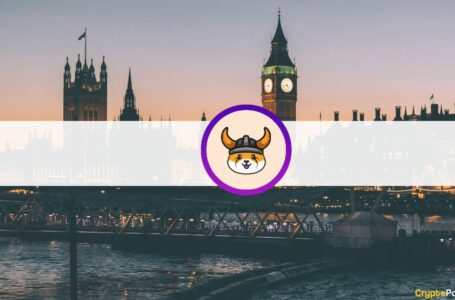 Following FLOKI Ad Campaigns: London Wants to Ban Crypto Ads on Public Transport