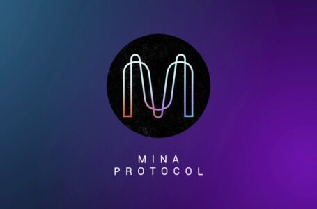Mina Protocol (MINA) Review: Everything You Need to Know