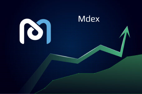 Is Worth to Invest in Mdex (MDX)?