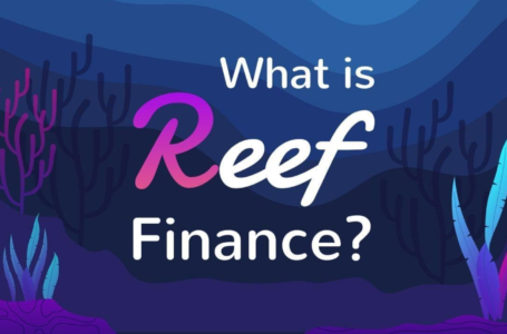 Is Worth to Buy Reef Finance (REEF)?