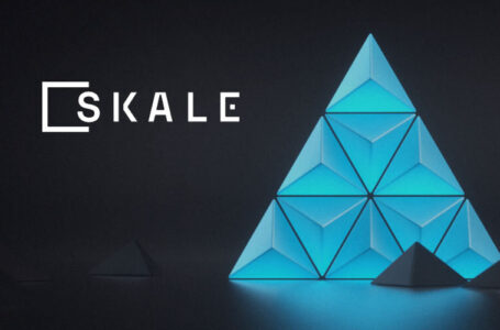 Is SKALE (SKL) a Good Investment?