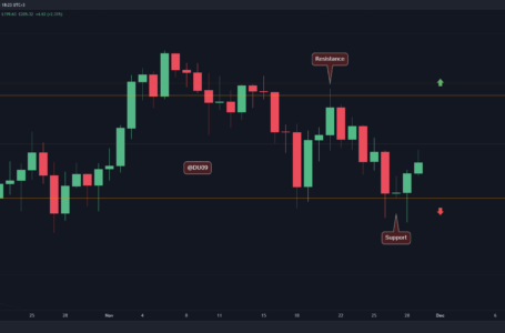 Solana Price Analysis: Bullish Divergence Hints at a Possible Rally