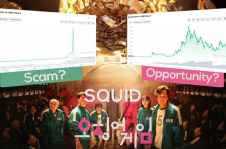 Squid Coin: End of Scam or Rise of a New Community