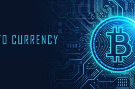 Should You Own Some Cryptocurrency? Why?