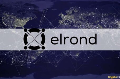 Elrond (EGLD) Skyrockets 60% in 3 Days Following News on Liquidity Incentive Program