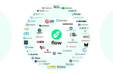 Flow (FLOW) Review: Everything You Need to Know