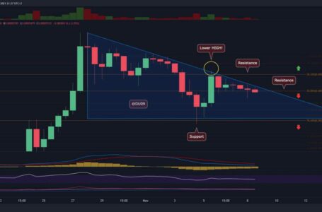 Shiba Inu Price Analysis: Dead Cat Bounce for SHIB as the Correction Continues