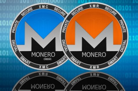 Monero (XMR) Review: Everthing You Need to Know