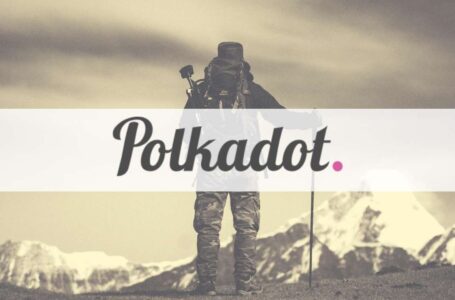 Polkadot (DOT) Soars 15% to New All-time High In Anticipation for Parachain Auctions