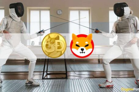 War of the Memecoins: Binance Adds SHIB-DOGE Trading Pair