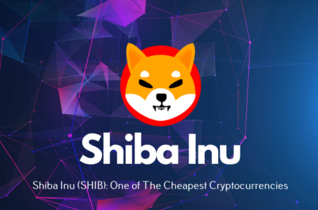 Shiba Inu (SHIB): One of The Cheapest Cryptocurrencies