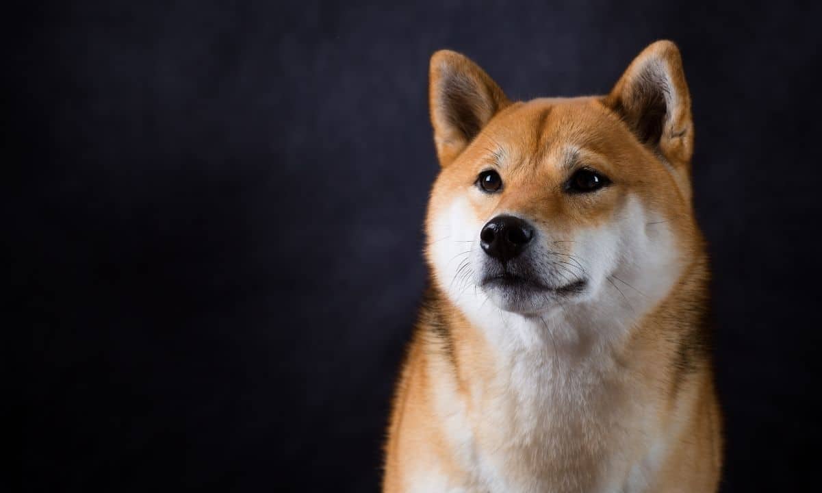 SHIB