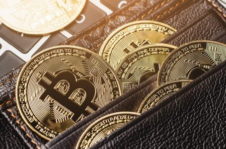 Finiko Fugitives Suspected of Moving 750 BTC From Crypto Pyramid’s Wallet