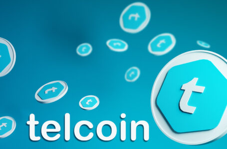 Is Worth Investing in Telcoin (TEL)?