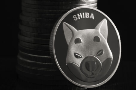 Shiba Inu Faces 5% Correction After Spiking by 40%, But Fundamental Growth Is Still Going Strong