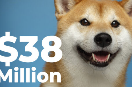 New Shiba Whale Buys $38 Million Worth of Tokens
