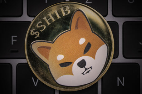 SHIB Community Burned About 2 Billion SHIB in November