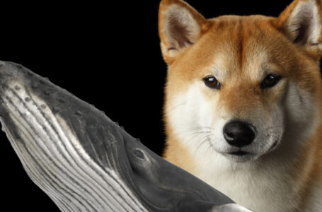 SHIB Whales Dumped $400 Million on Market in Last 24 Hours