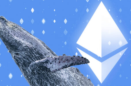 Ethereum Whale Buys $100 Million Worth of Coins, Down 4%