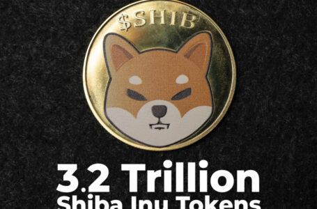 New SHIB Whale Holds 3.2 Trillion Shiba Inu Tokens Amid Accumulation Spree