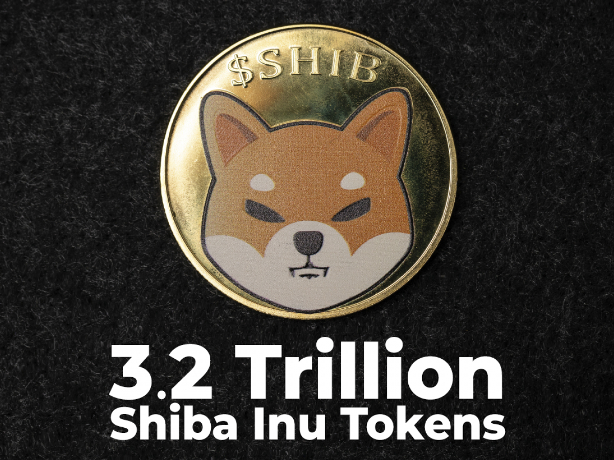 Shiba