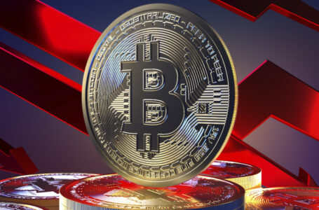 Bitcoin Market Value Share Drops to 2018 Low, Ethereum Gains Higher Ground