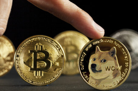 Shiba Inu Rival Dogecoin Hits Top 8 of Most Popular Coins Among BSC Whales