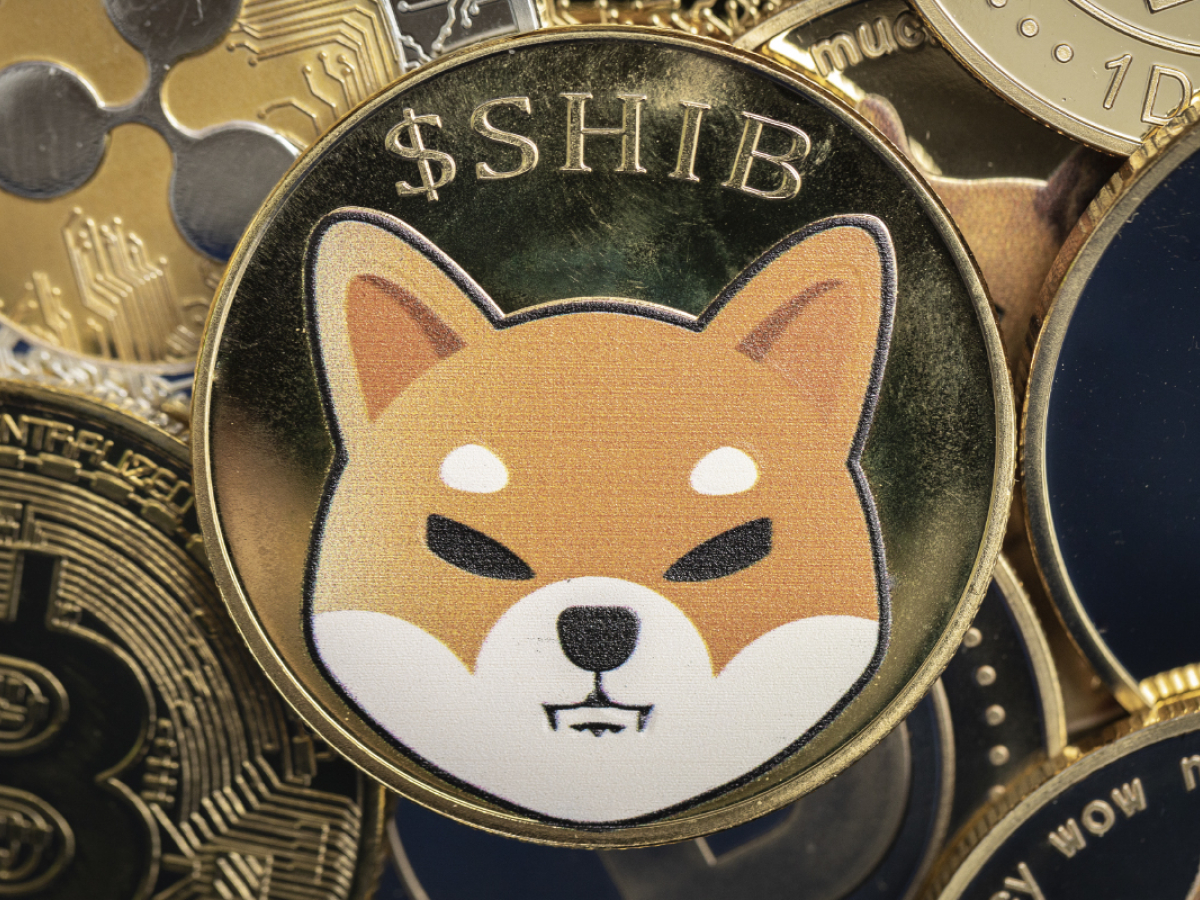 Shiba