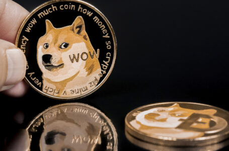 Dogecoin Flips Terra Luna to Reenter Top 10 Amid Latest Surge