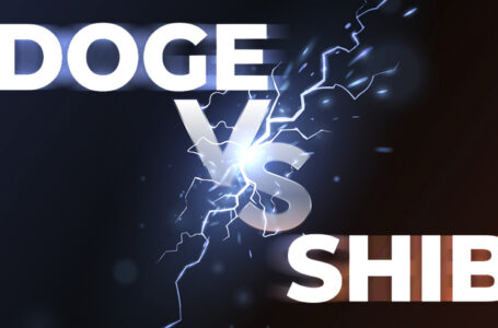Dogecoin and Shiba Inu in Duel for 12th Largest Cryptocurrency, Who Wins?