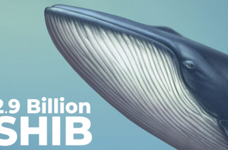 SHIB Whale Adds 2.9 Billion SHIB to Their 31.3 Billion Holdings