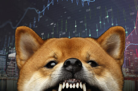 Large Shiba Inu Investors Continue to Accumulate Despite Price Correction