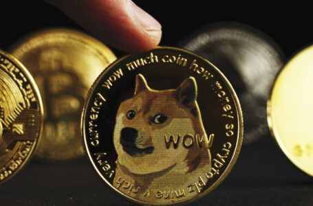 Dispose of Dogecoin and Meme Stocks: North Island Chairman’s Outlook for 2022