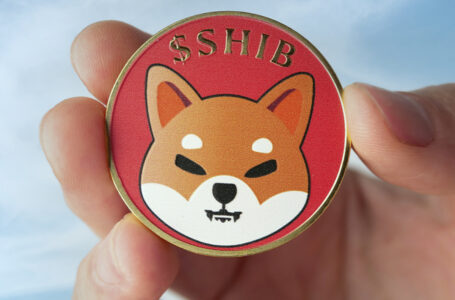 Shiba Inu Reaches New Milestone by Gaining 70,000 More Holders