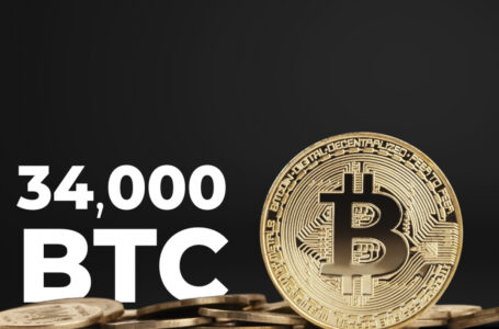 More Than 34,000 BTC Transferred from Whale Addresses in 24 Hours