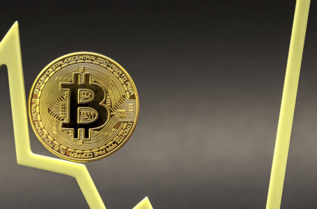 Here’s How Bitcoin’s Supply Changed in 2021: Corporate Treasuries, Wrapped BTC and Exchanges’ Investment Vehicles