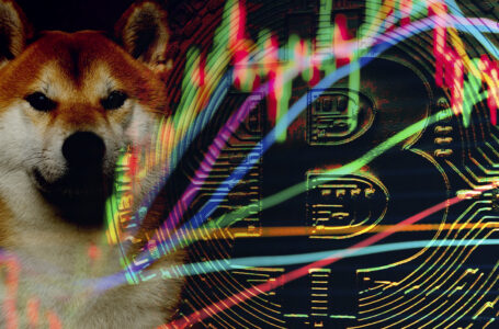 Bitcoin, Shiba Inu, Algorand Up as Cryptomarket Rises on Positive Investor Sentiment