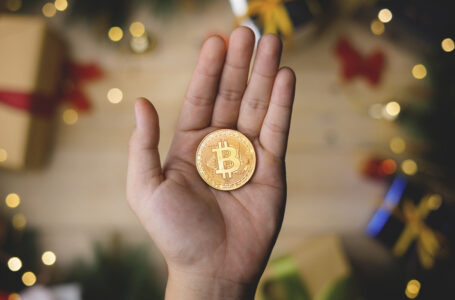 Bitcoin for $24,000, Ethereum for $600: Here’s How Much Cryptocurrencies Have Gained Since Christmas 2020