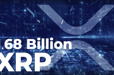 1.6 Billion XRP Moved by Whales and Exchanges for Second Consecutive Day
