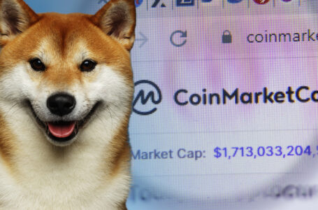 Shiba Inu Is Most Viewed Cryptocurrency on CoinMarketCap in 2021
