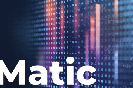 As Matic Updates Its ATH, Its Network Continues to Grow