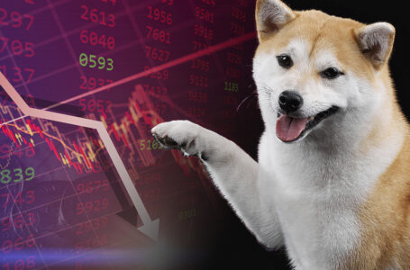 Shiba Inu Whale Holdings Drop Below $2 Billion, Again